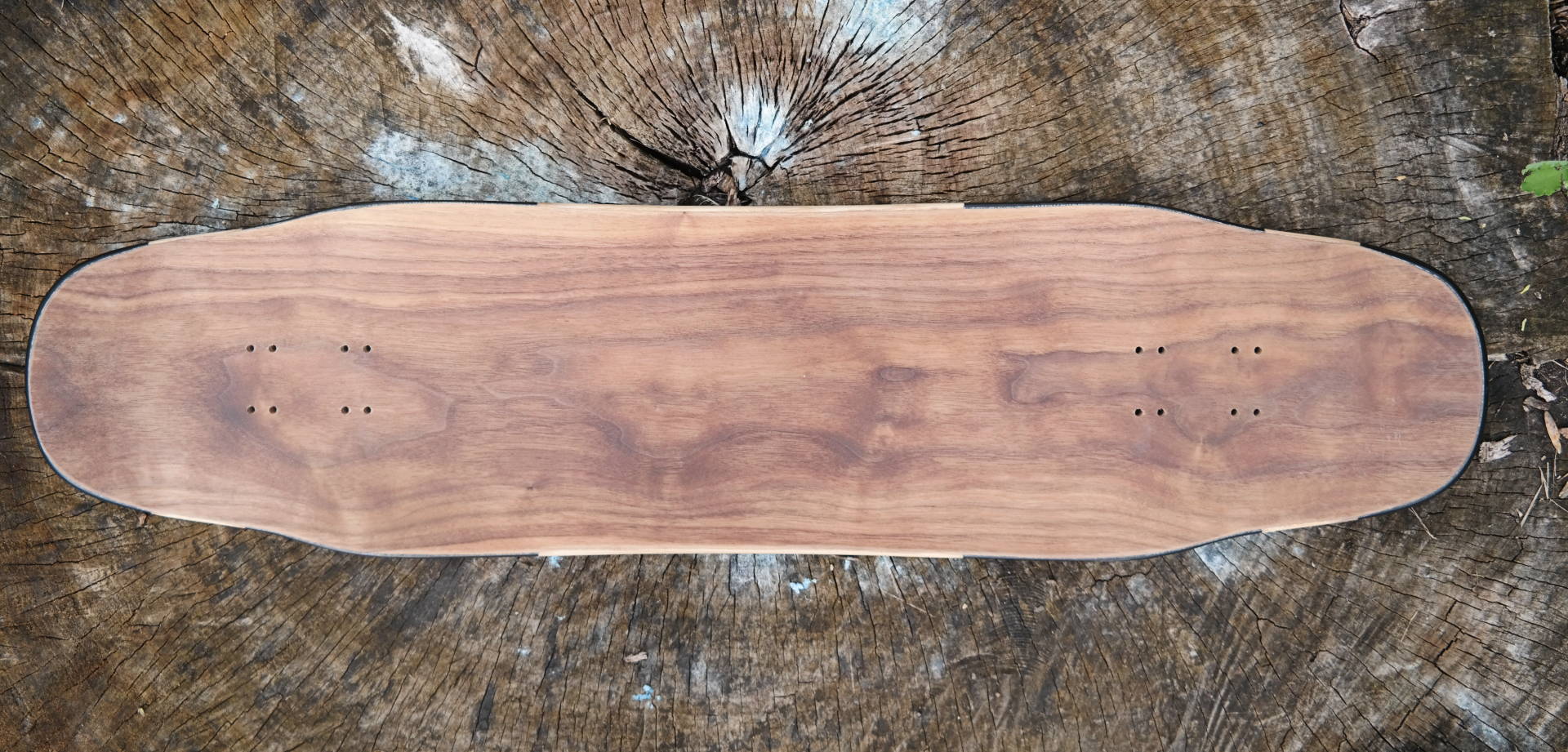 Alternative Longboards Decks